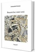 Brucer&ograve; fra i miei versi