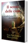 Il senso delle cose: A volte la realt&Atilde;&nbsp; &Atilde;&uml; quella che sembra