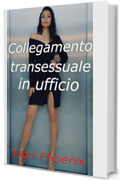 Collegamento transessuale in ufficio