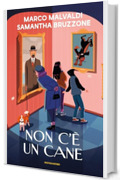 Non c'&egrave; un cane