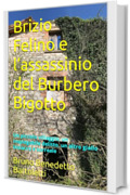 Brizio Felino e l&rsquo;assassinio del Burbero Bigotto: Un piccolo villaggio, un inspiegabile delitto, un altro giallo bislacco e surreale (Romanzi, Racconti e Storie brevi Vol. 9)