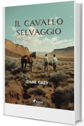 Il cavallo selvaggio