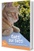 Gatti sui tetti