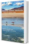 Bolivia: anima meticcia: Volume II: lagune e salar (Dreamtime Vol. 14)