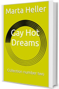 Gay Hot Dreams: Collection number two