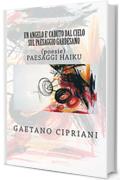 Un angelo &egrave; caduto dal cielo sul paesaggio gardesano