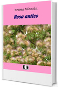 Rosa antico