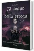 Il sogno della strega: Cronache dell&rsquo;Ammazzavampiri Bisex