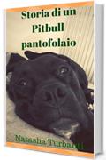 Storia di un Pitbull pantofolaio
