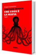 Che cosa &egrave; la mafia
