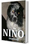 Ni&ntilde;o: Bambino