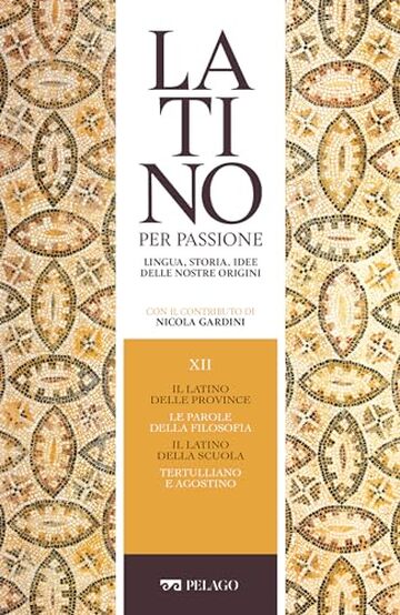 Il latino delle province. Le parole della filosofia. Il latino della scuola. Tertulliano e Agostino (Latino per passione)