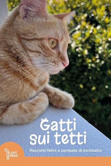 Gatti sui tetti