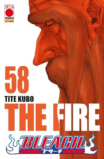 Bleach 58: The Fire