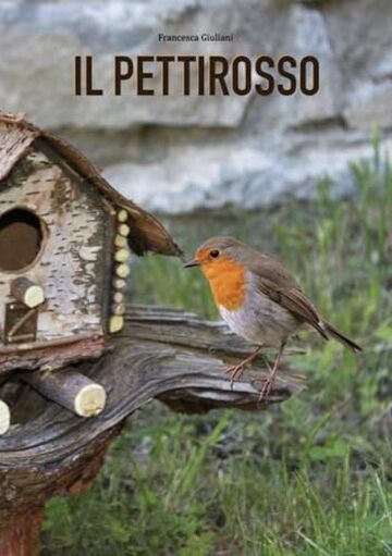 IL PETTIROSSO