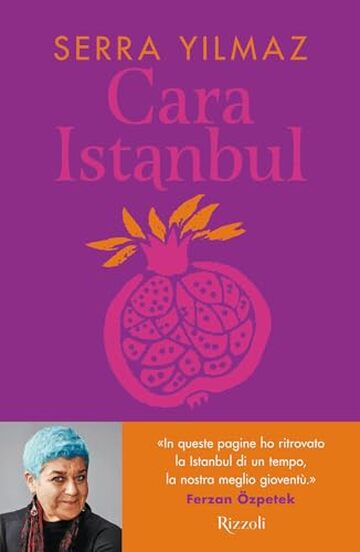 Cara Istanbul
