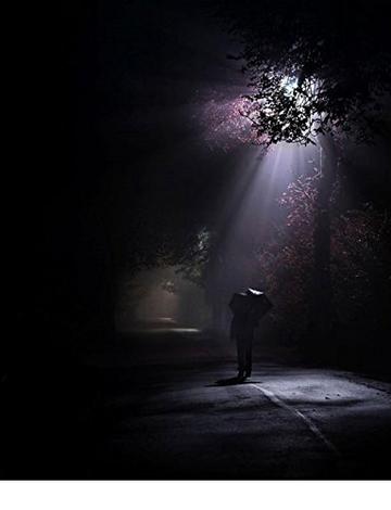 La verit&agrave; &egrave; una bugia