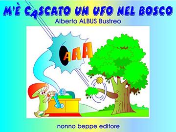 M'&egrave; cascato un Ufo nel bosco