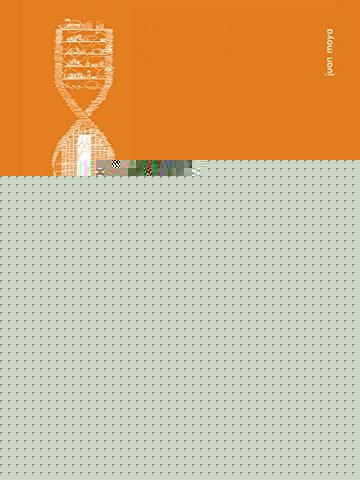 Trasfigurazioni in Manhattan: Da Nuova Amsterdam al grattacielo