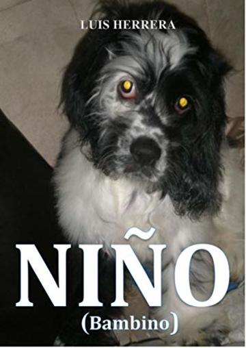 Ni&ntilde;o: Bambino