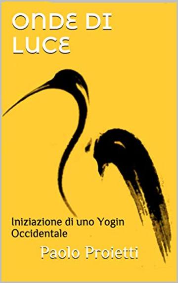 ONDE DI LUCE: Iniziazione di uno Yogin Occidentale